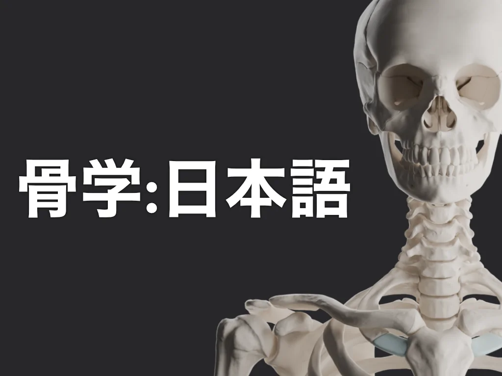 骨学:日本語
